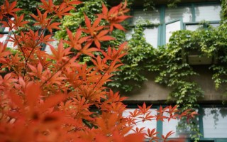 想知道2025年西安哪家装修公司真正靠得住？别急，答案来了！